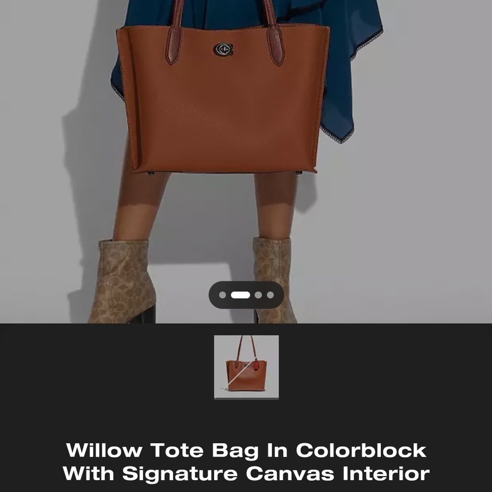 Coach Brown Willow Tote Bag